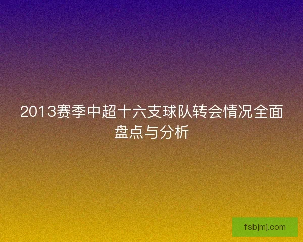 2013赛季中超十六支球队转会情况全面盘点与分析
